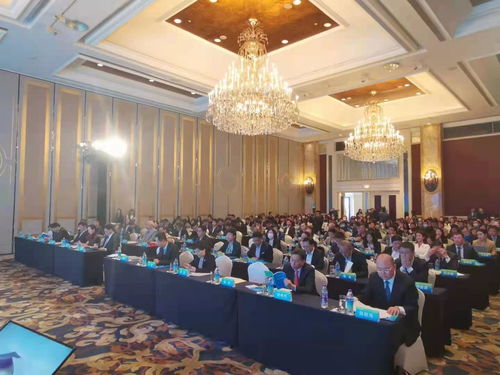 青島國際航運(yùn)貿(mào)易金融創(chuàng)新中心核心區(qū)暨RCEP青島經(jīng)貿(mào)合作先行創(chuàng)新試驗(yàn)基地上海推介會圓滿舉行