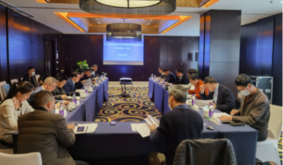 集聚智慧 共繪藍(lán)圖——黃文川主持北京專家咨詢會為百色重點(diǎn)開發(fā)開放試驗(yàn)區(qū)建設(shè)把脈