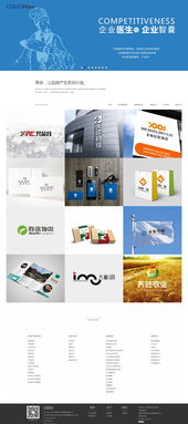 西安最專(zhuān)業(yè)企業(yè)信息化建設(shè)網(wǎng)絡(luò)公司——策泉策劃與硅峰網(wǎng)絡(luò)