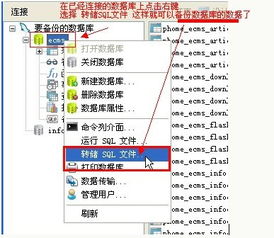 Navicat 高效、強(qiáng)大的跨平臺(tái)數(shù)據(jù)庫(kù)管理工具